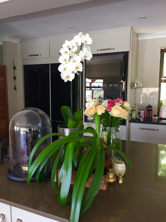 Protea Point Bed and Breakfast Kapstaden Eksteriør billede